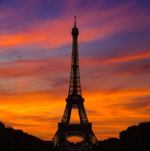 Meet your Posher, Alina